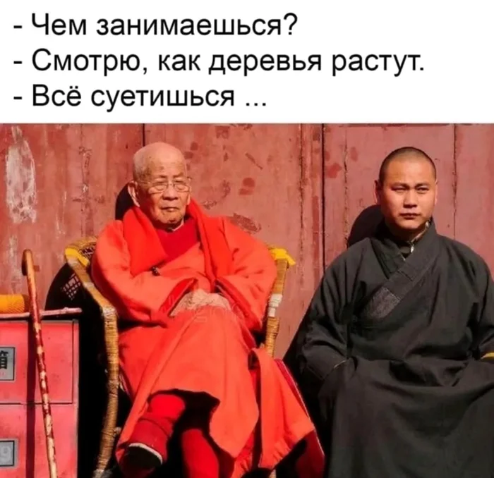 дзен поймал
