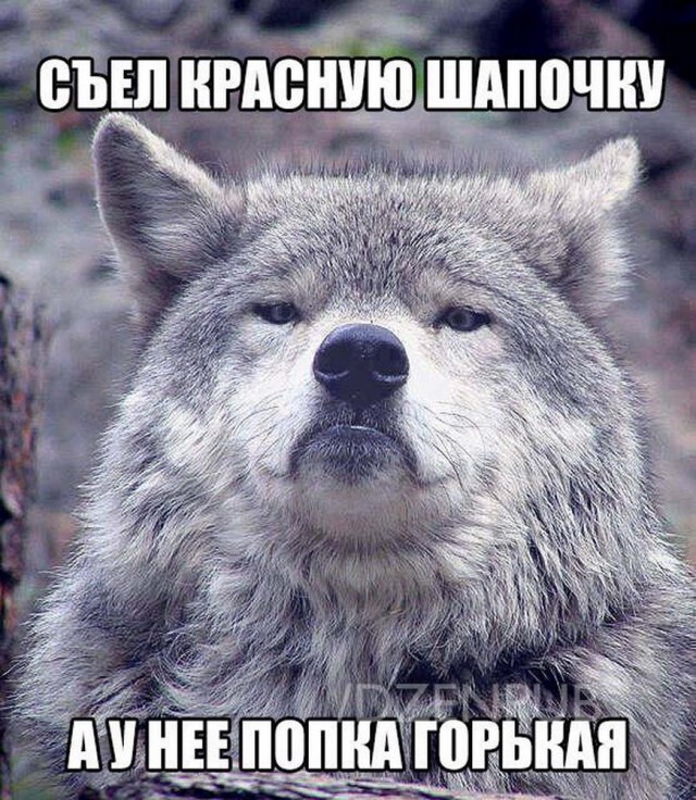 Про волка сказка